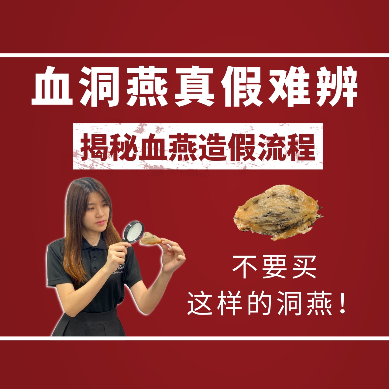 血燕洞燕真假:揭秘血燕造假过程,带你了解天然洞燕如何形成-逸展燕窝